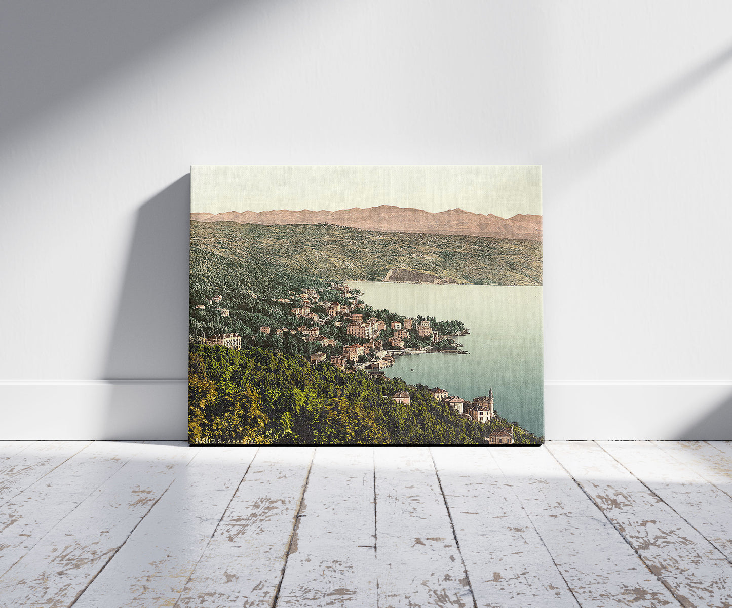 A picture of Abbazia, general view, Istria, Austro-Hungary