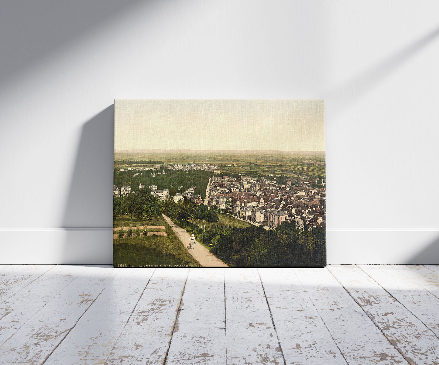 A picture of Bad Neuheim (i.e., Bad Nauheim), from Johannisberg, Hesse-Nassau, Germany