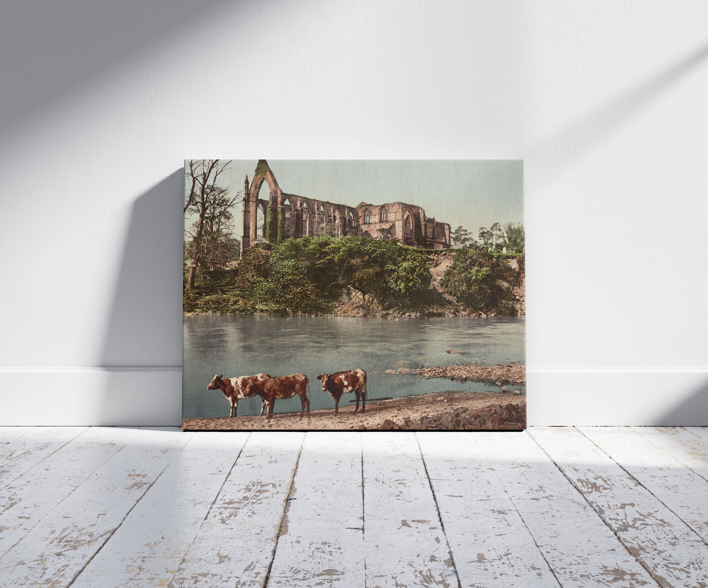 A picture of Bolton Abbey. From River