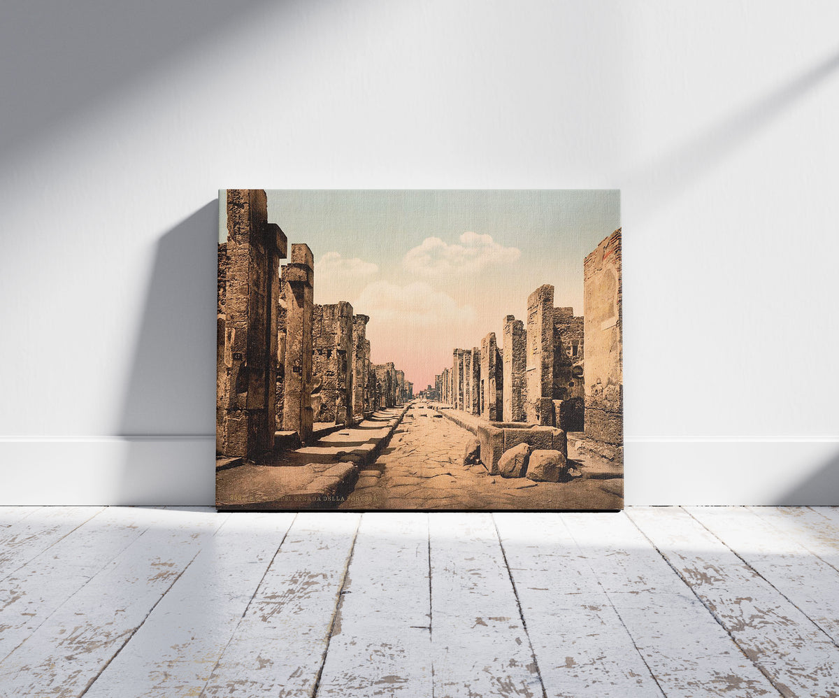A picture of Fortuna Street, Pompeii, Italy