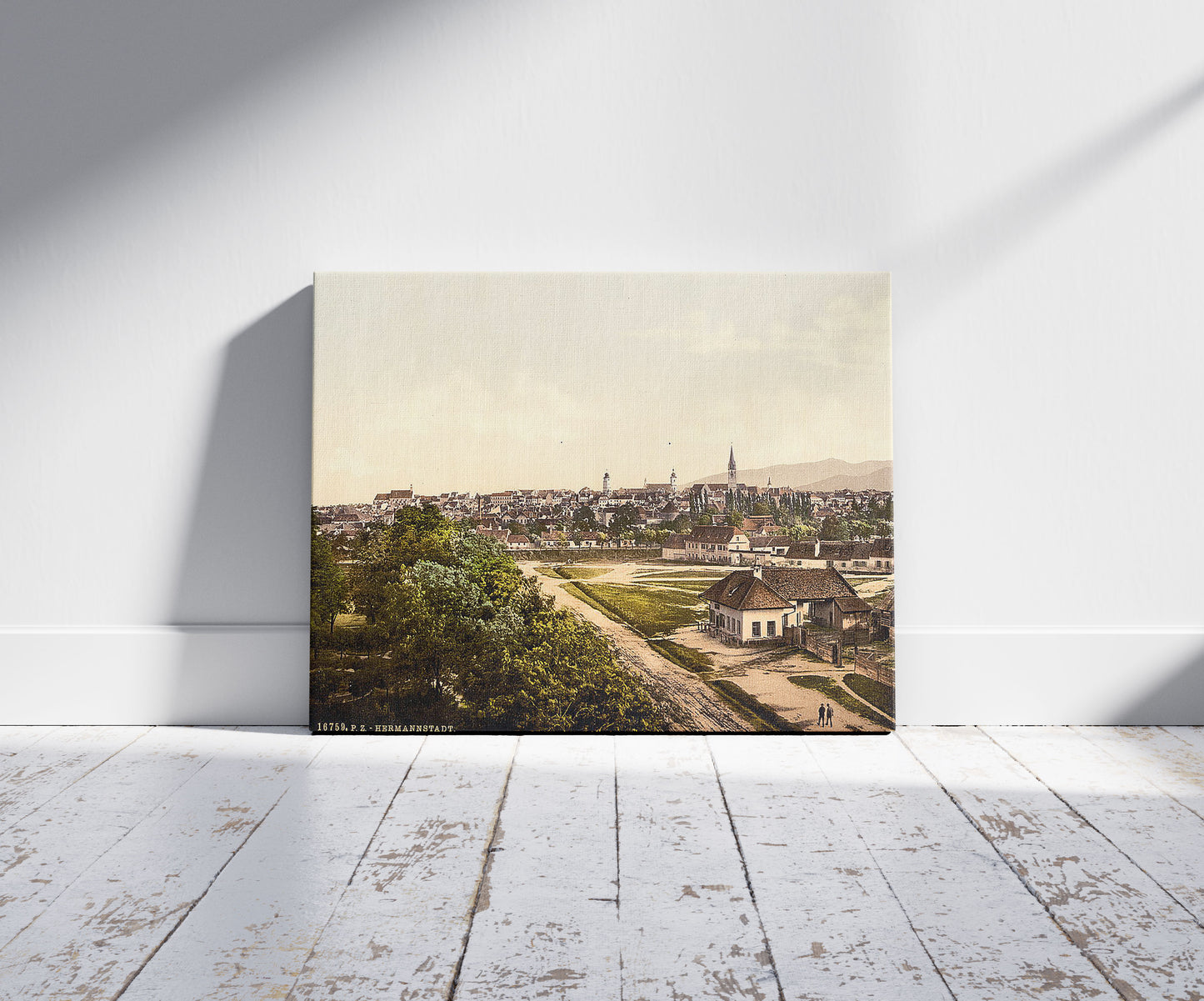 A picture of General view, Hermmanstadt (i.e., Hermannstadt), Hungary, Austro-Hungary