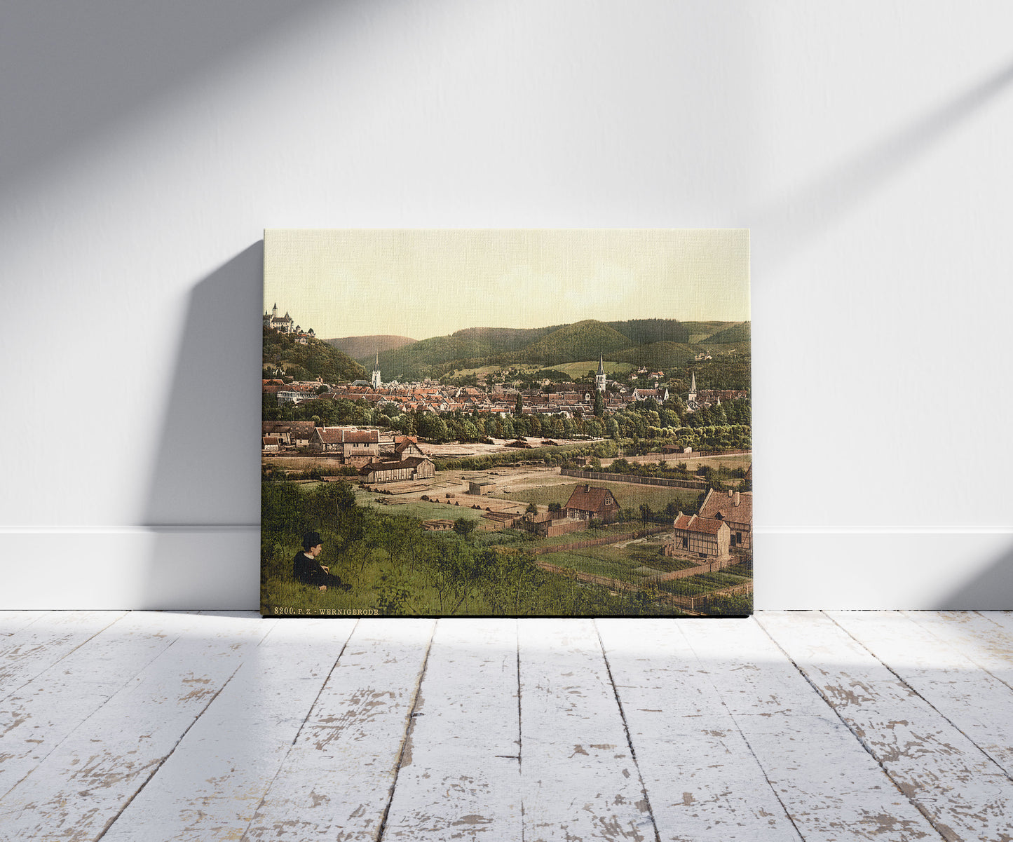 A picture of General view, Wernigerode, Hartz, Germany