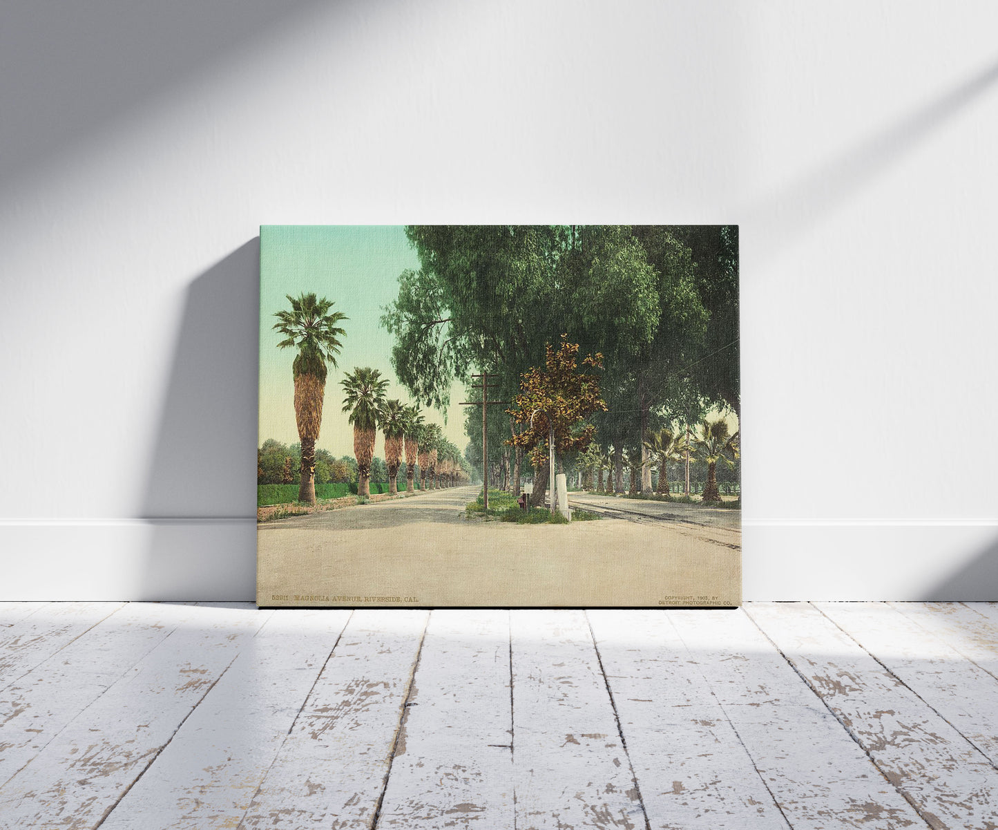A picture of Magnolia Avenue, Riverside, Cal., a mockup of the print leaning against a wall