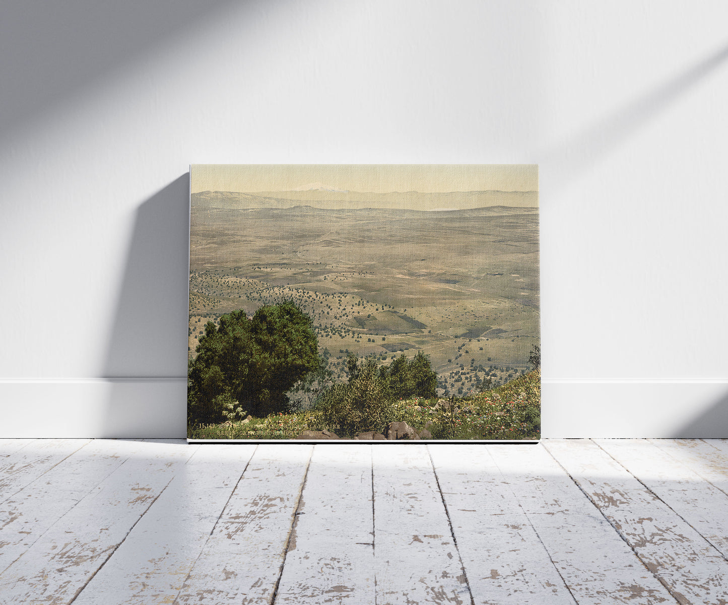 A picture of Mt. Hermon and Plain of Tabor, Holy Land, (i.e., Lebanon and Syria), a mockup of the print leaning against a wall