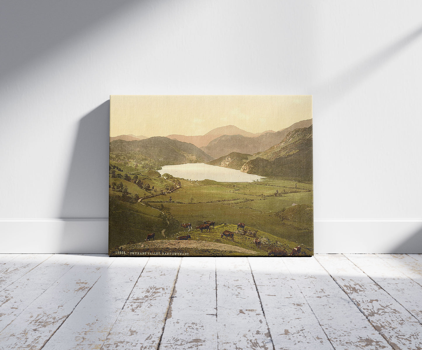 A picture of Nant Gwgant (i.e. Gwynant), Gwynant Valley, Wales