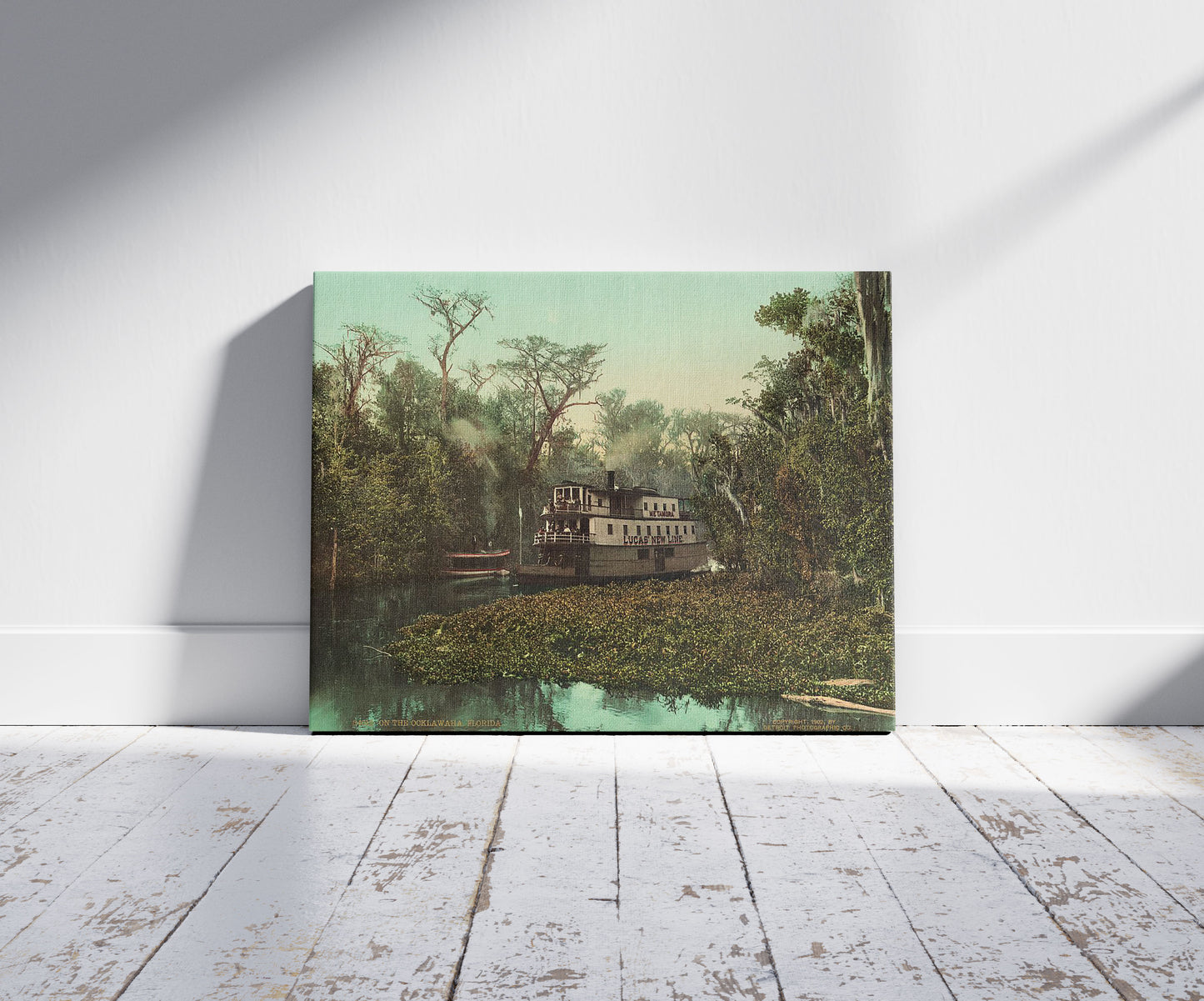 A picture of On the Ocklawaha, Florida