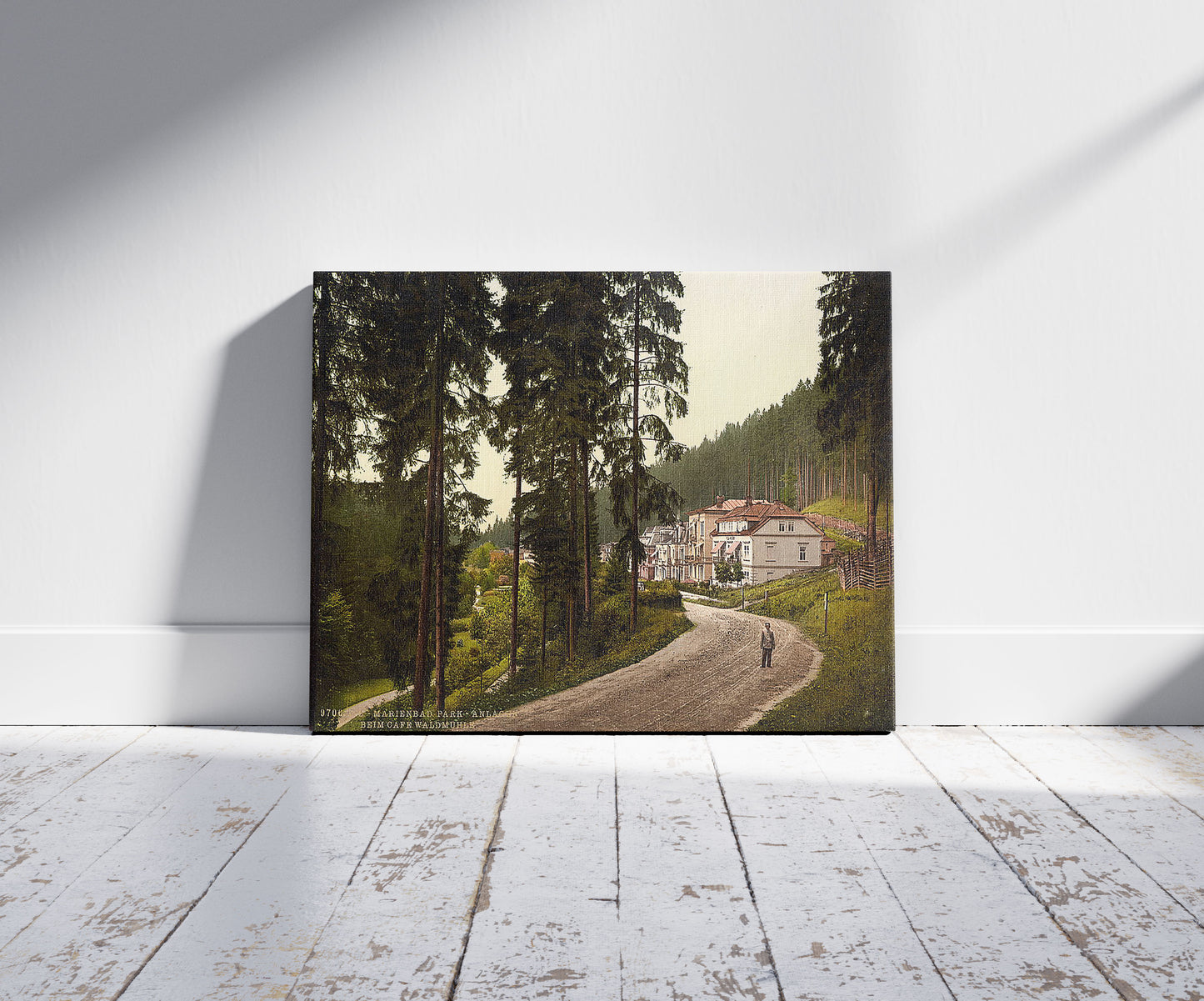 A picture of Park, Marienbad, Bohemia, Austro-Hungary, a mockup of the print leaning against a wall