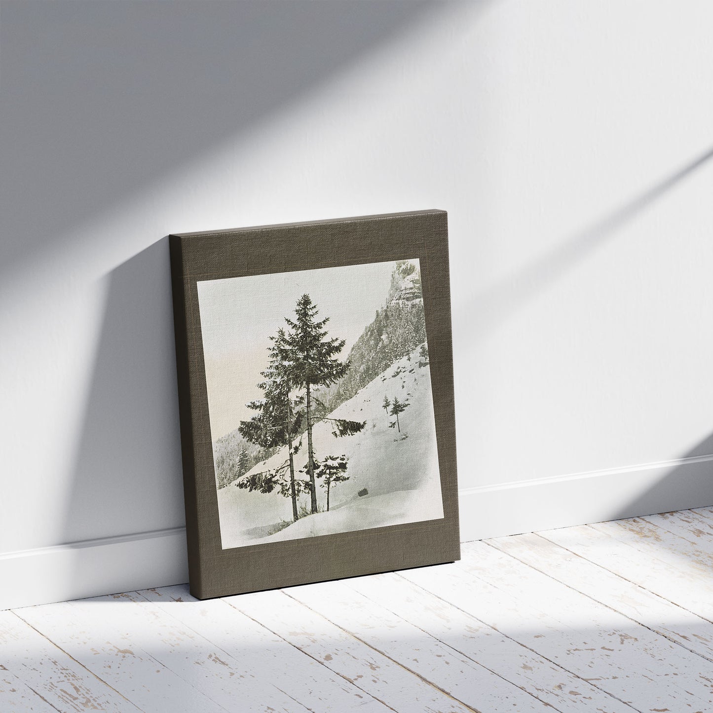 A picture of Pine tree in snow near Zurich, Switzerland, a mockup of the print leaning against a wall