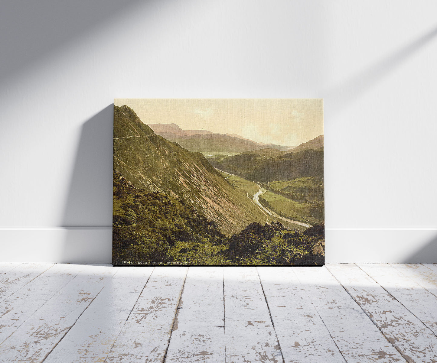 A picture of Precipice Walk, Dolgelly (i.e. Dolgellau), Wales