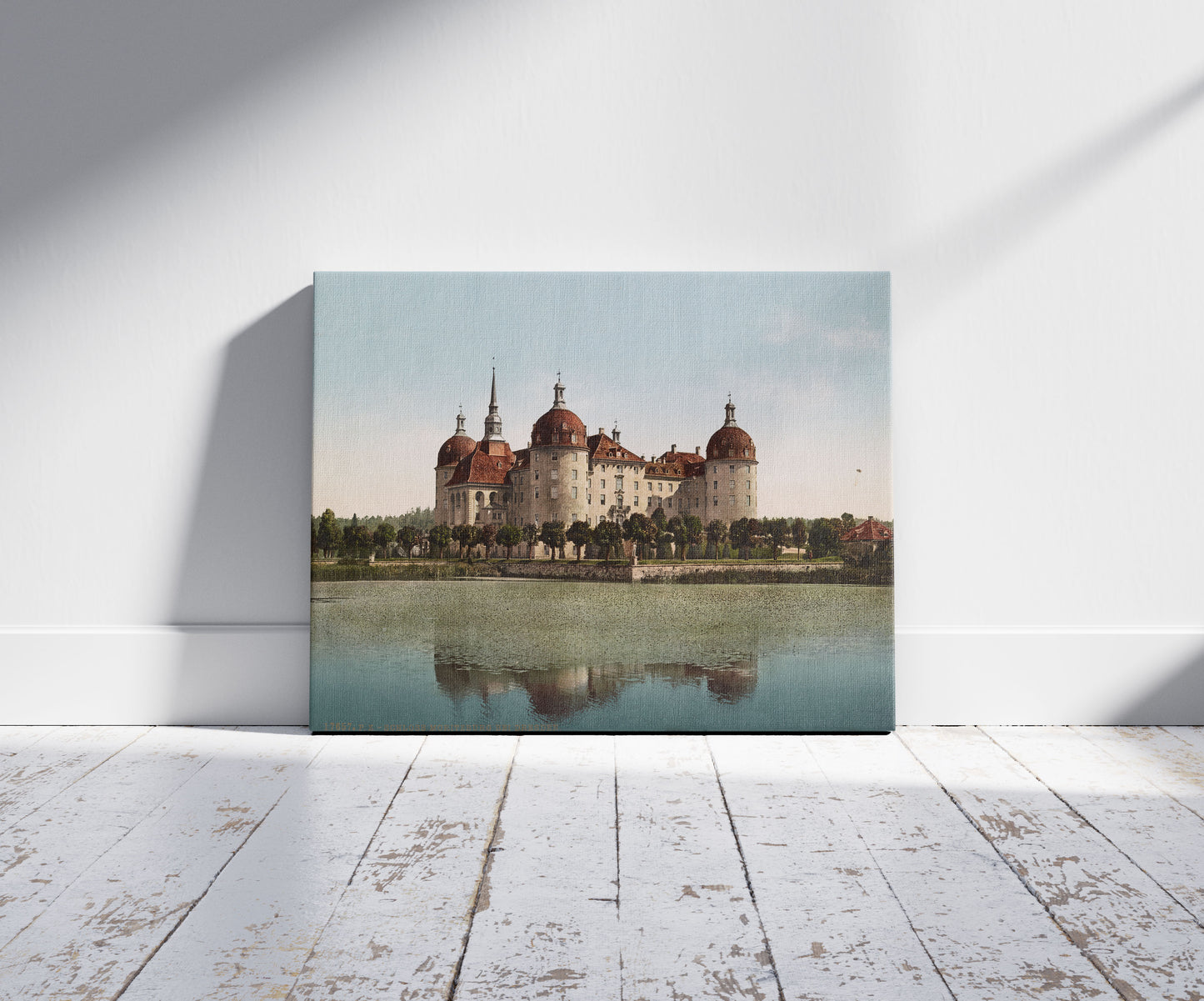 A picture of Schloss Moritzburg bei Dressden