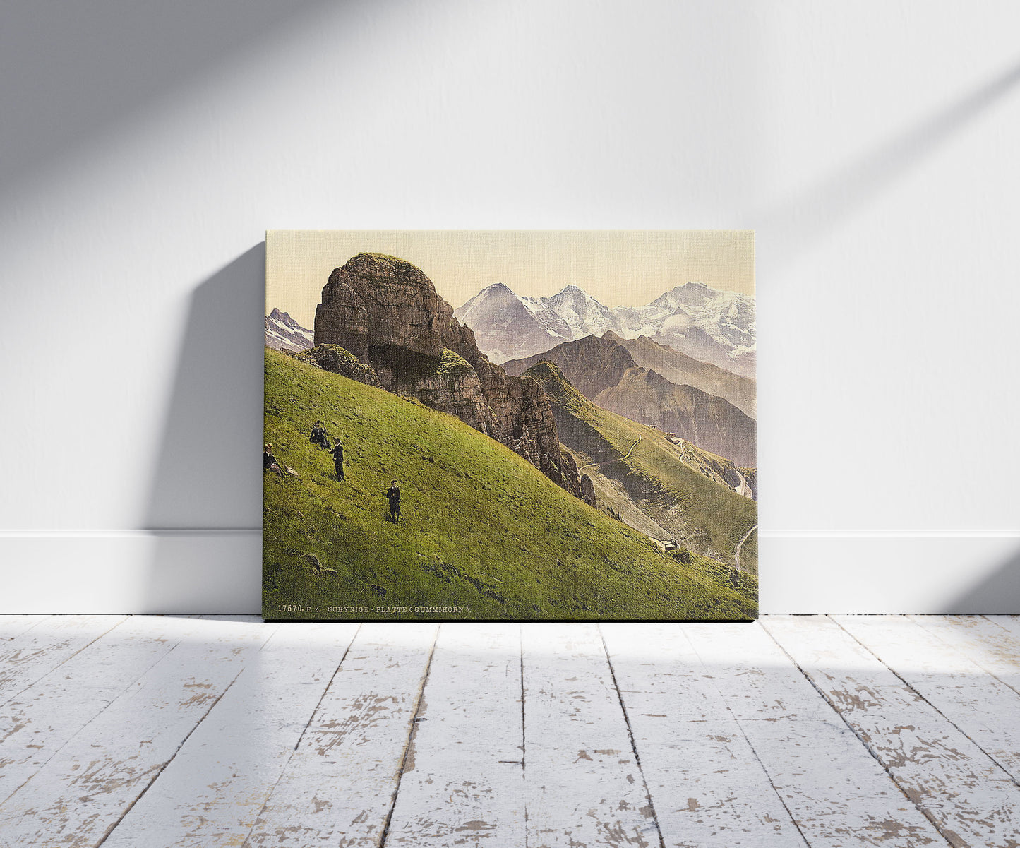 A picture of Schynige Platte, Gummihorn, Eiger, Monch and Jungfrau, Bernese Oberland, Switzerland