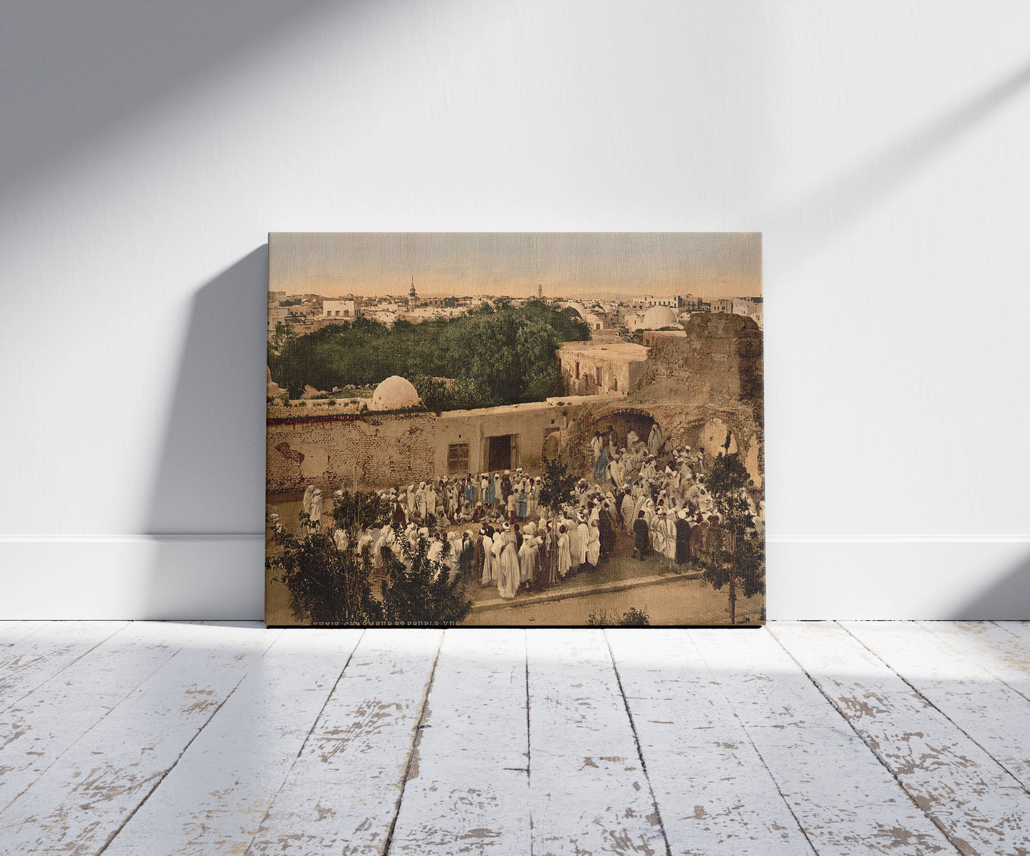 A picture of Snake charmer, Tunis, Tunisia