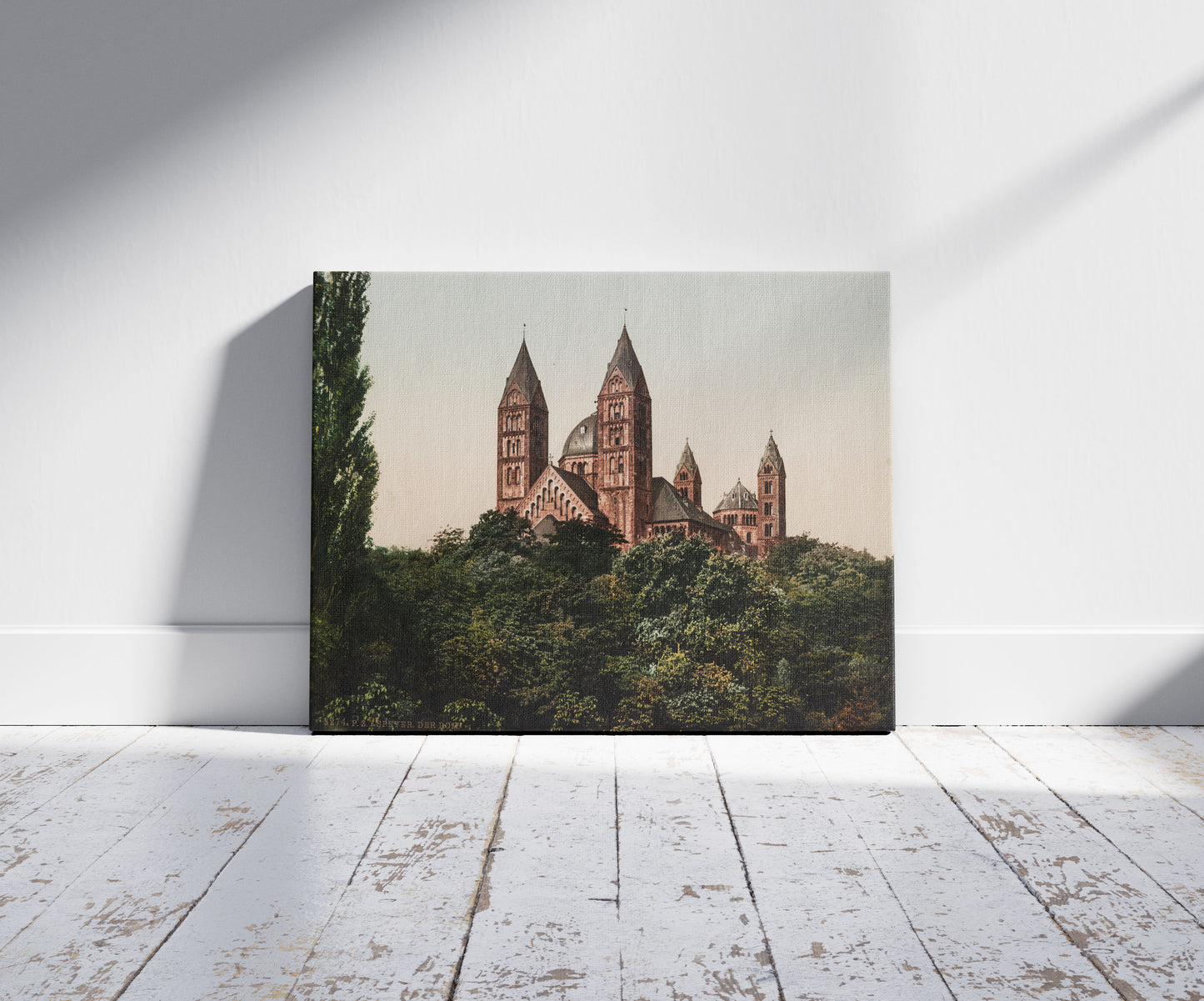 A picture of Speyer. Der Dom