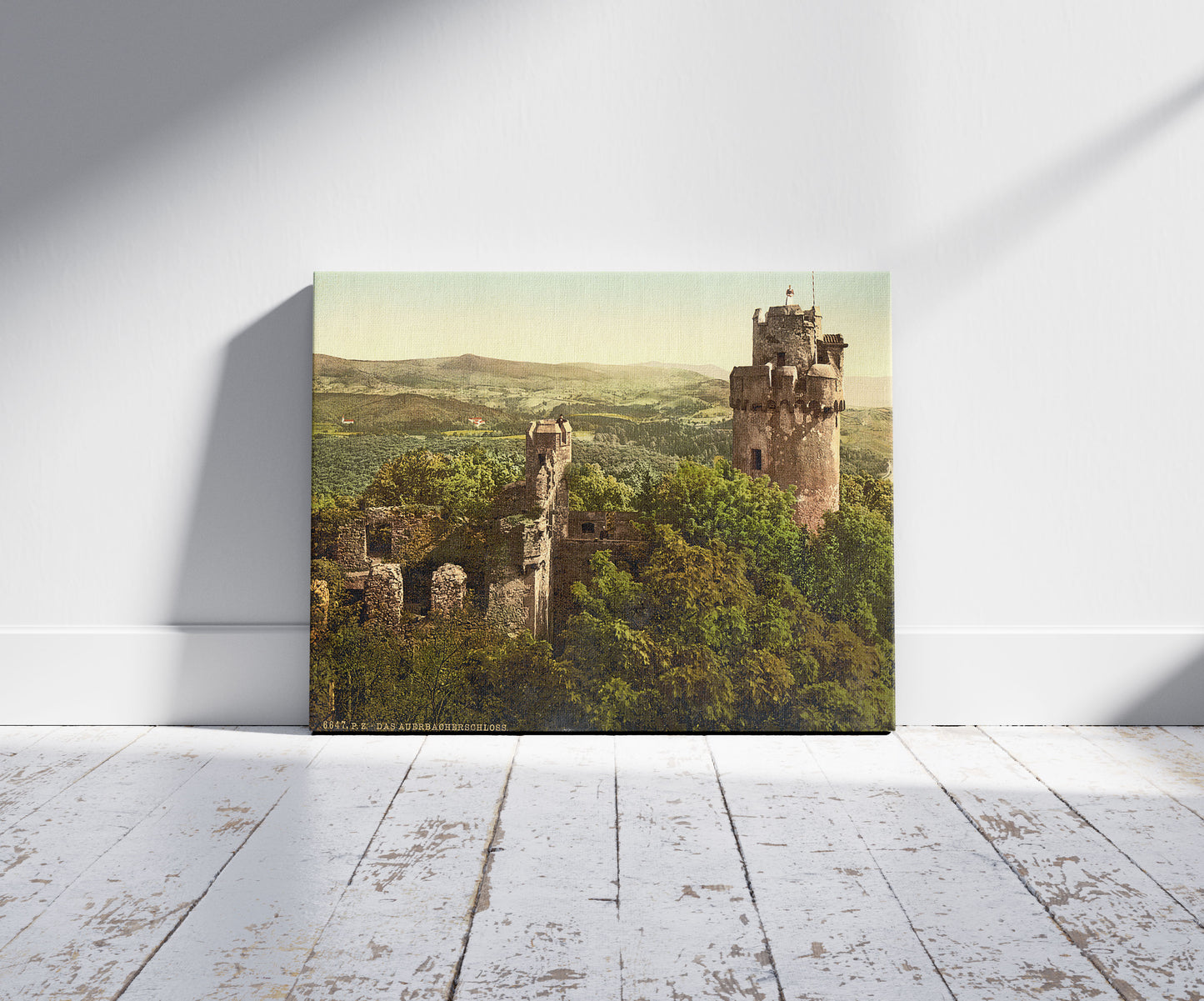 A picture of The castle, Auerbach, Hartz, Germany