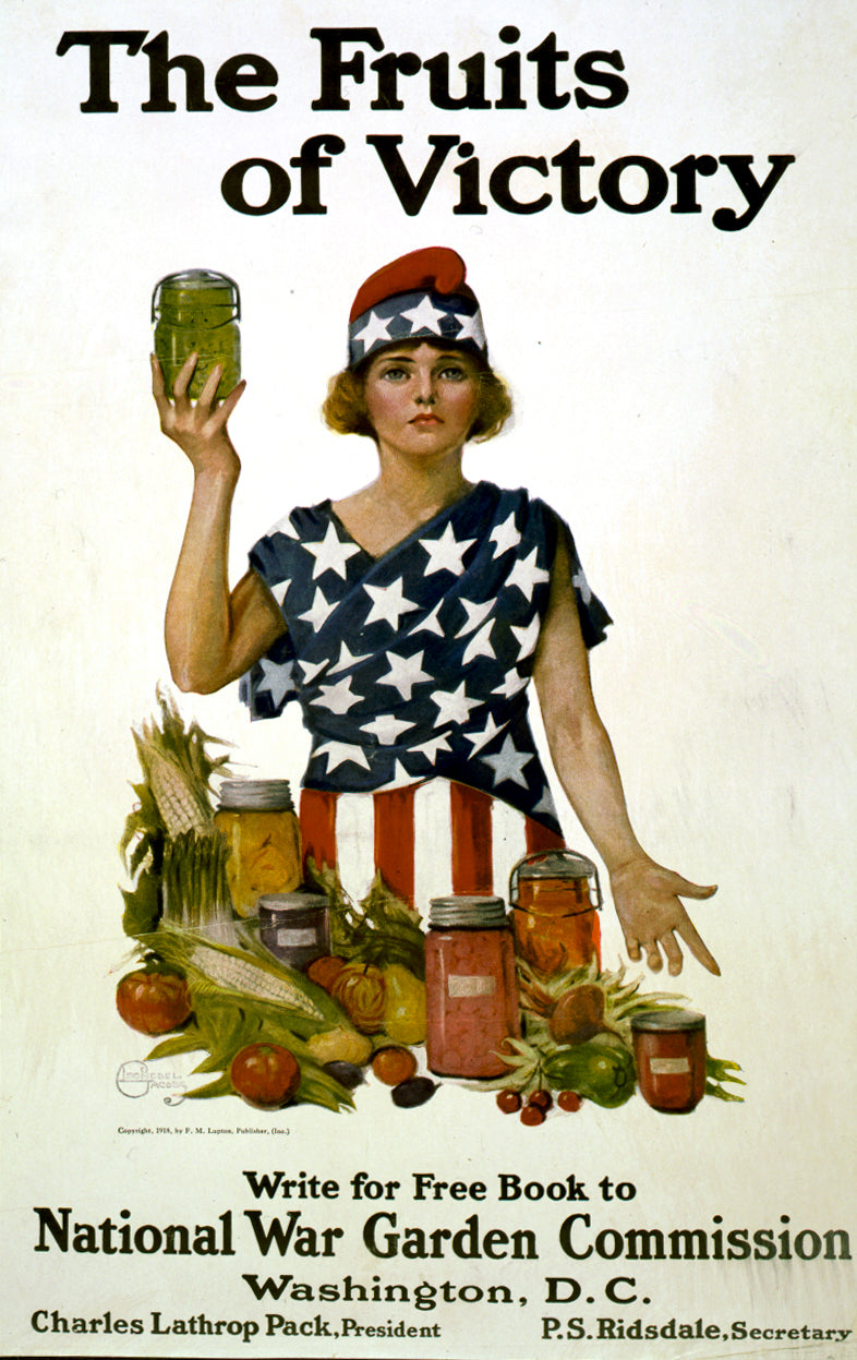 A picture of The fruits of victory