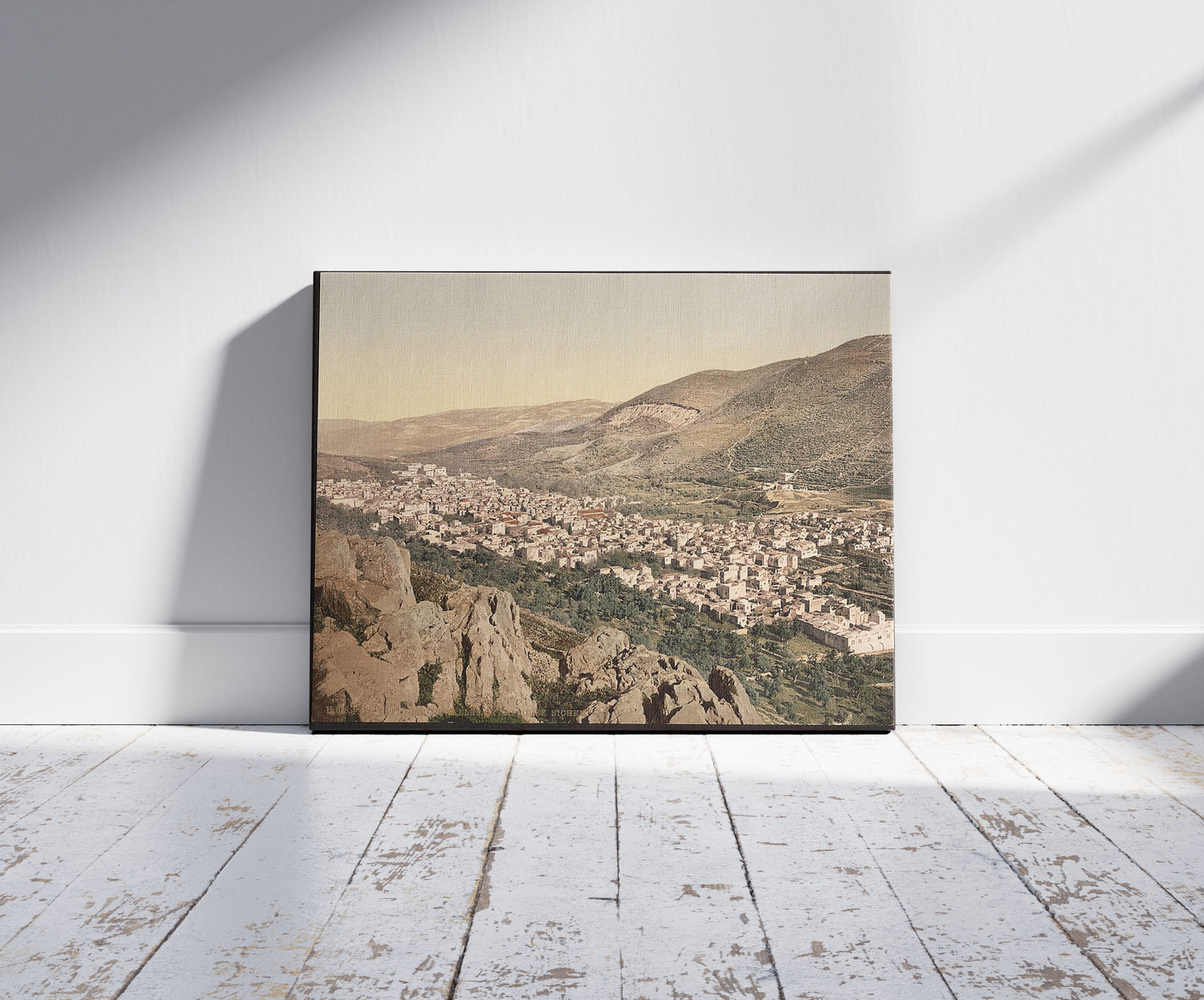 A picture of The vale of Napulus, (i.e., Nablus), Holy Land