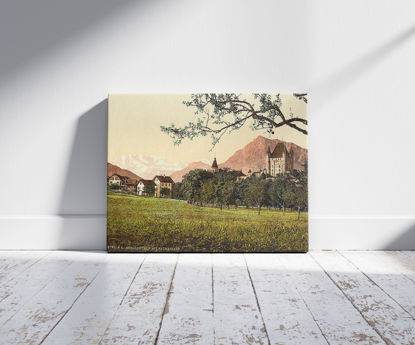 A picture of Thun, castle and Blumlisalp, Bernese Oberland, Switzerland