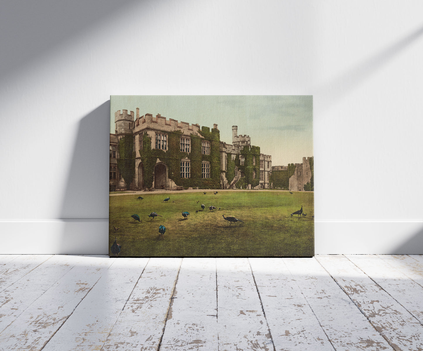 A picture of Warwick