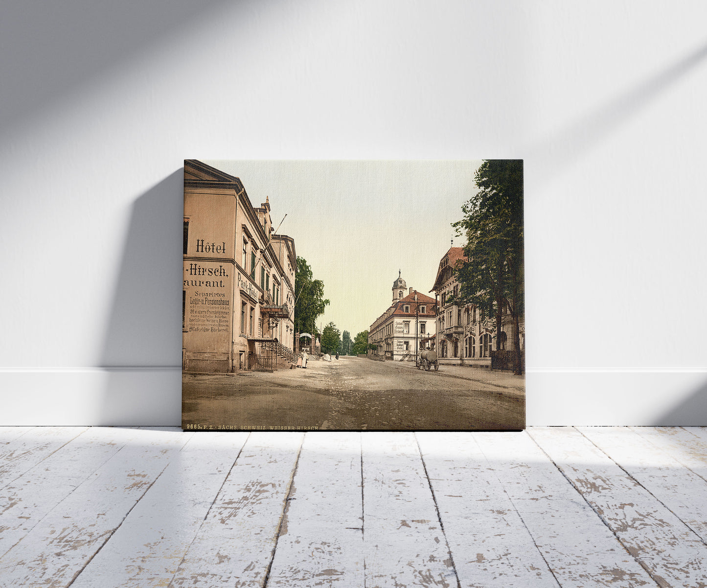 A picture of Weisser Hirsch, Saxony, Germany, a mockup of the print leaning against a wall