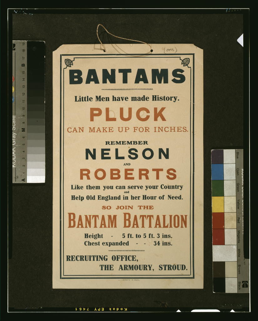 A picture of Bantams