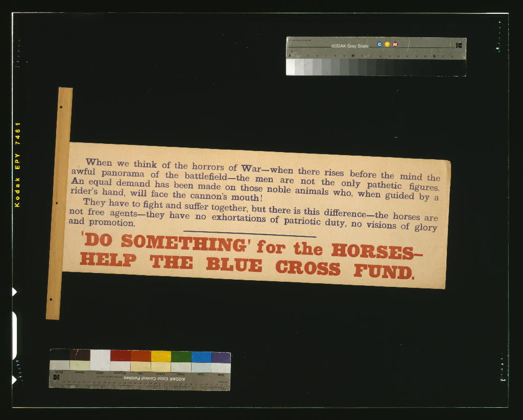 A picture of "Do something" for the horses - help the Blue Cross Fund