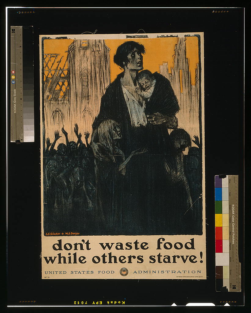 A picture of Don't waste food while others starve!