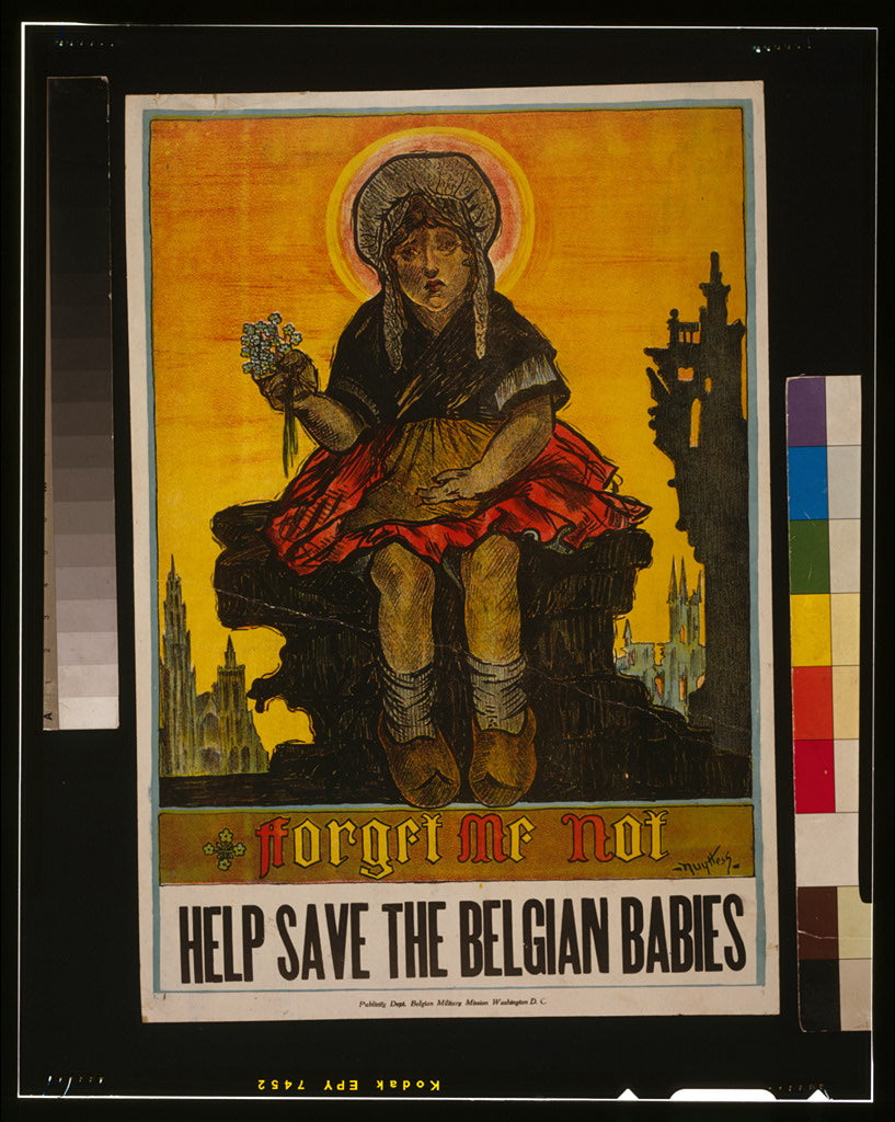 A picture of Forget me not--Help save the Belgian babies