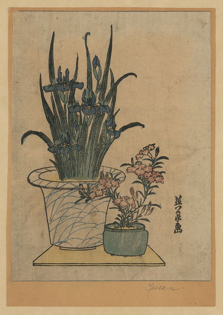 A picture of Hanashobu ni nadeshiko
