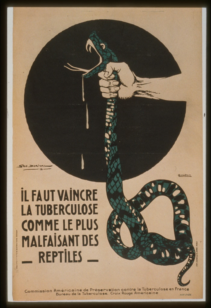 A picture of Il faut vaincre la tuberculose comme le plus malfaisant des reptiles