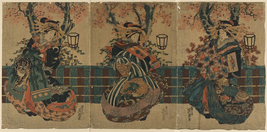 A picture of Nakano chō no sakura