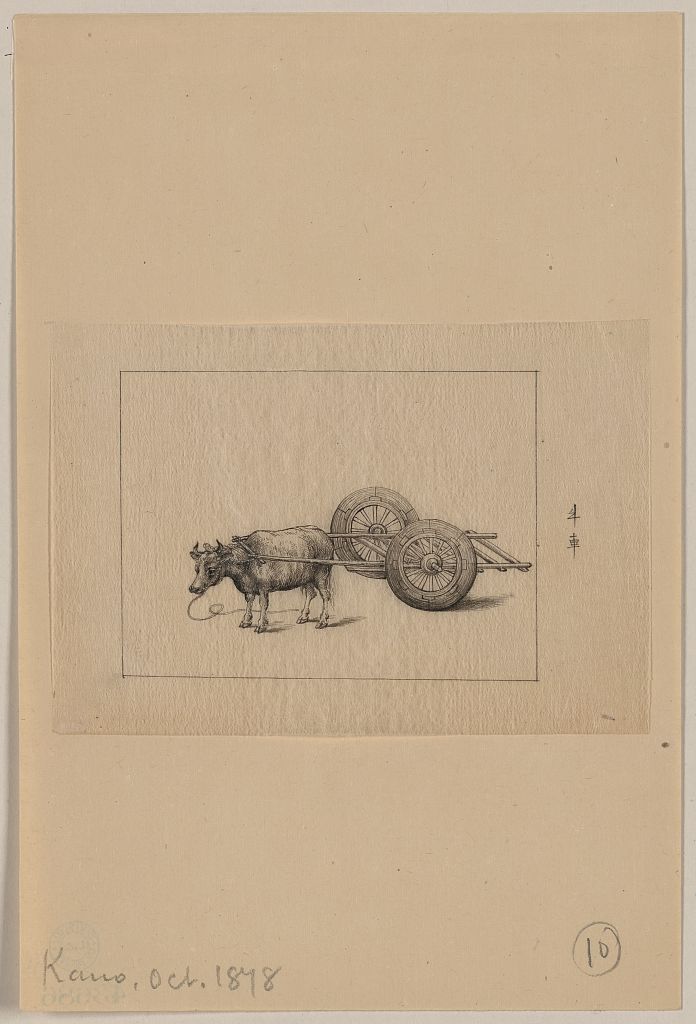 A picture of Ox-drawn two-wheeled cart