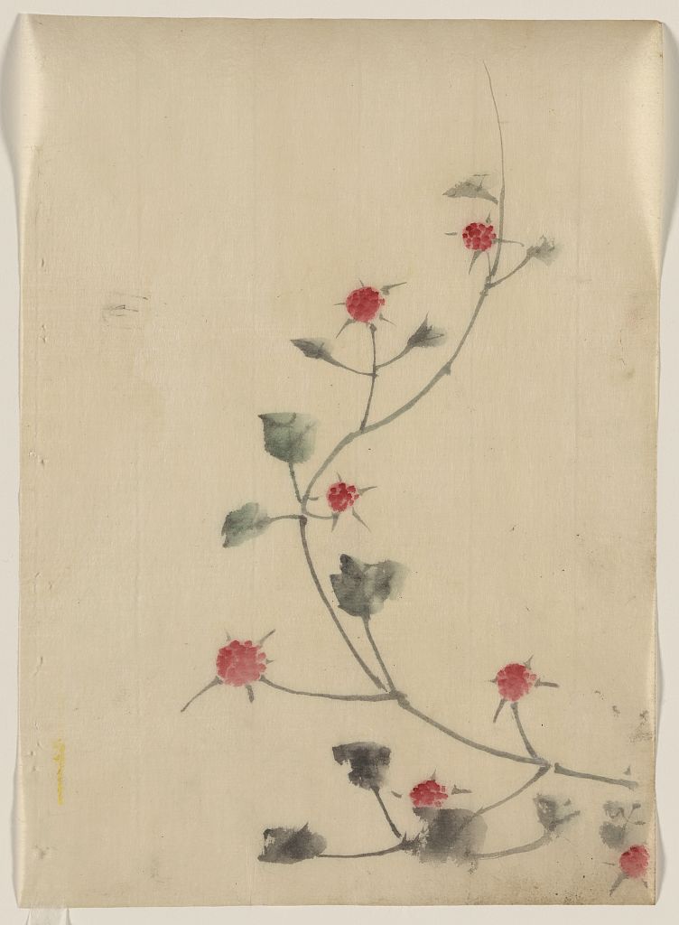 A picture of Small red blossoms on a vine
