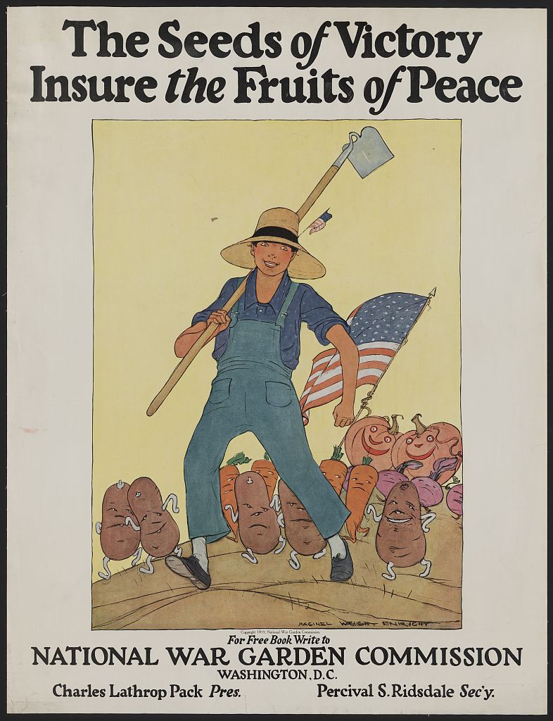 A picture of The seeds of victory insure the fruits of peace