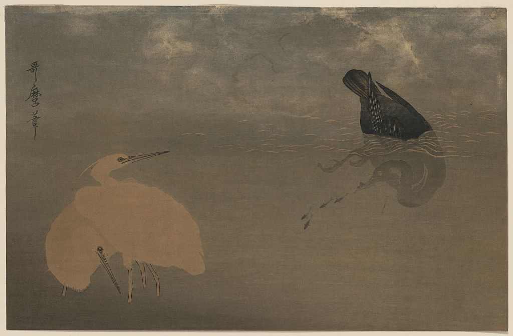 A picture of U to shirasagi