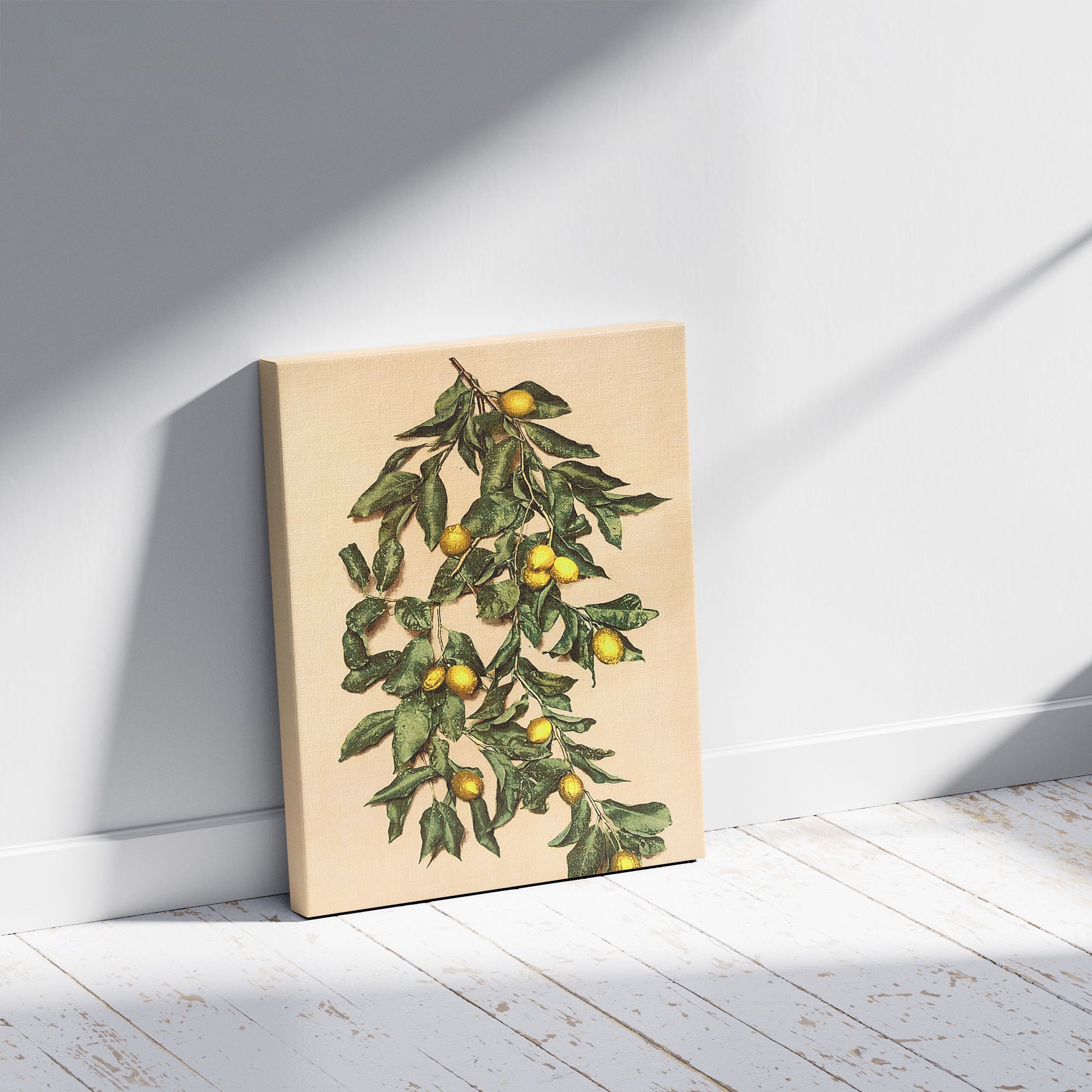 A picture of A branch of lemons, Limone, Lake Garda, Italy, a mockup of the print leaning against a wall