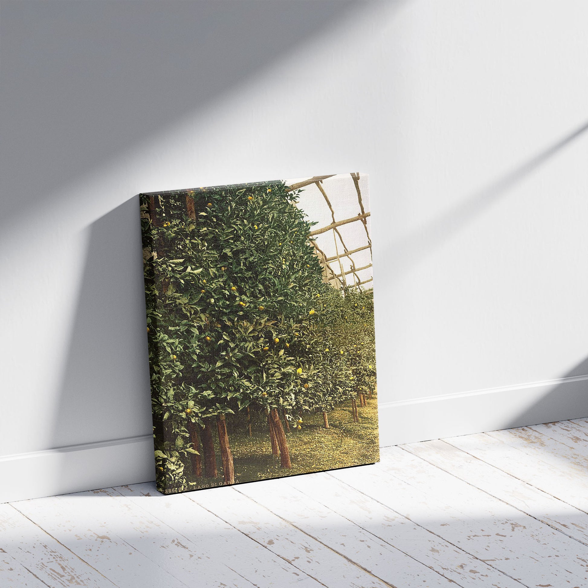 A picture of A lemon tree, Limone, Lake Garda, Italy, a mockup of the print leaning against a wall