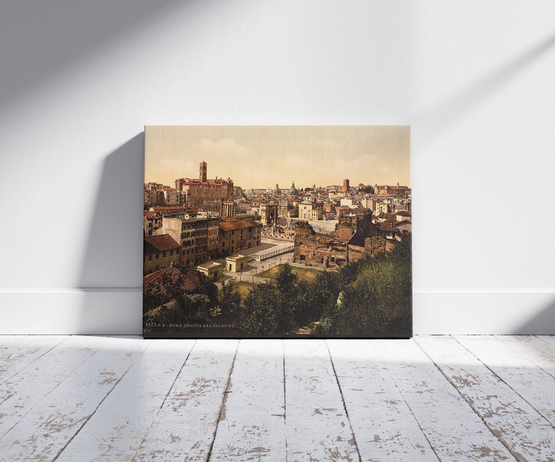 A picture of A panorama from the Palatine, Rome, Italy