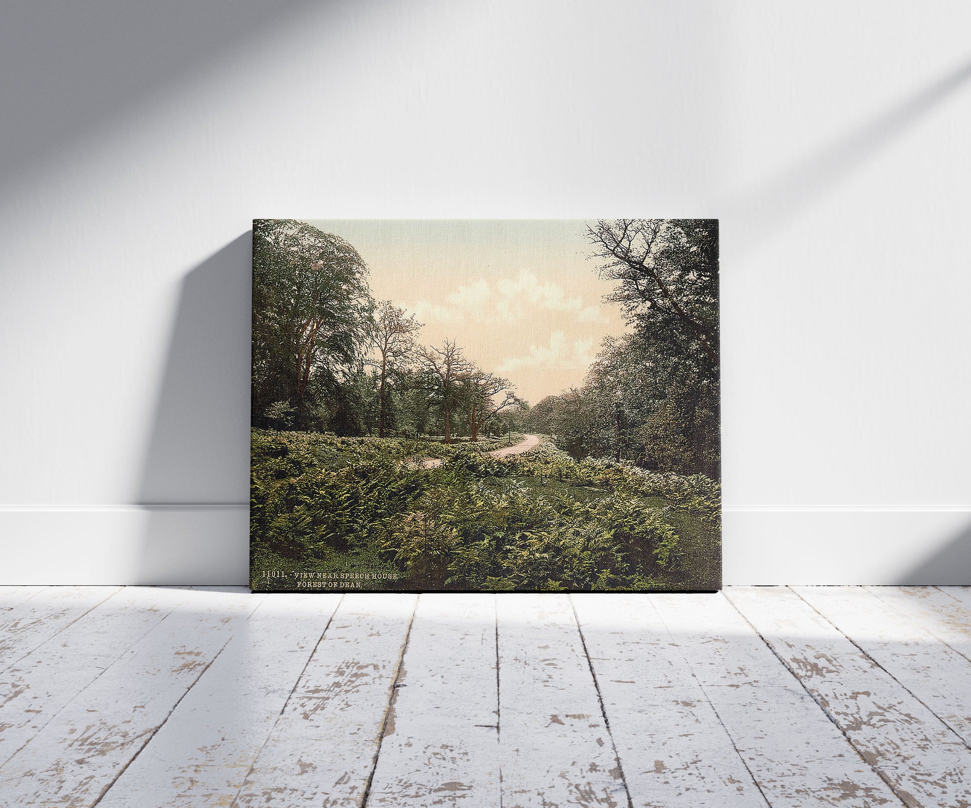 A picture of A view near Speech House, Forest of Dean, England, a mockup of the print leaning against a wall