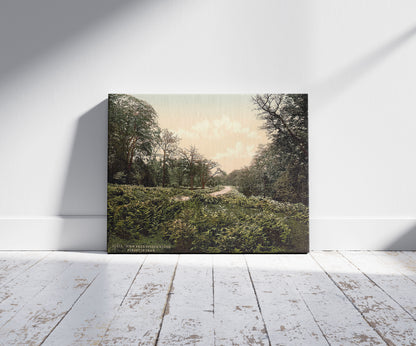 A picture of A view near Speech House, Forest of Dean, England, a mockup of the print leaning against a wall