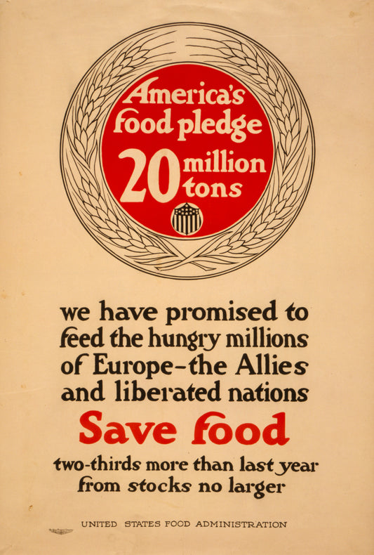 A picture of America's food pledge, 20 million tons