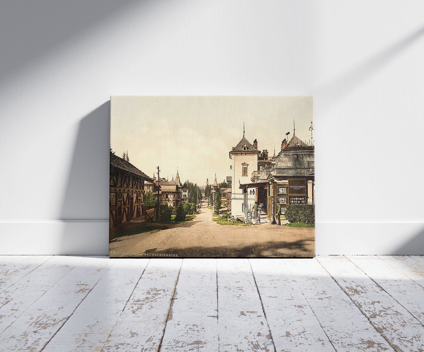 A picture of Bad Neu-Schmecks, Tatra, Austro-Hungary, a mockup of the print leaning against a wall