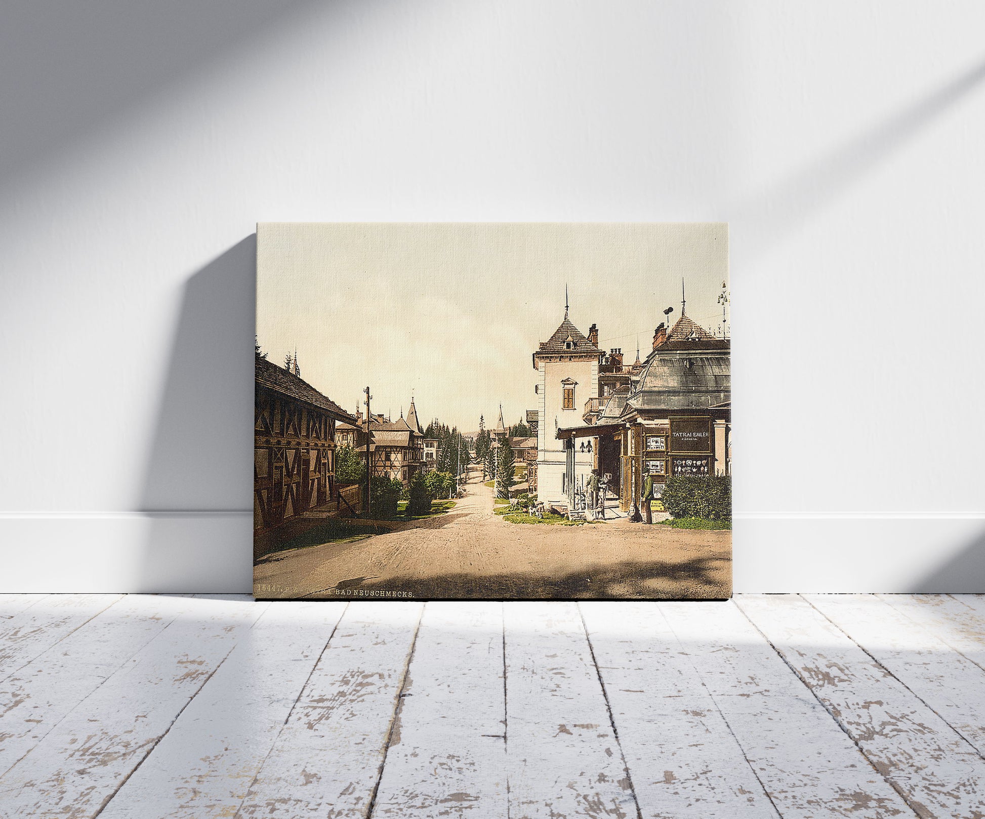 A picture of Bad Neu-Schmecks, Tatra, Austro-Hungary, a mockup of the print leaning against a wall