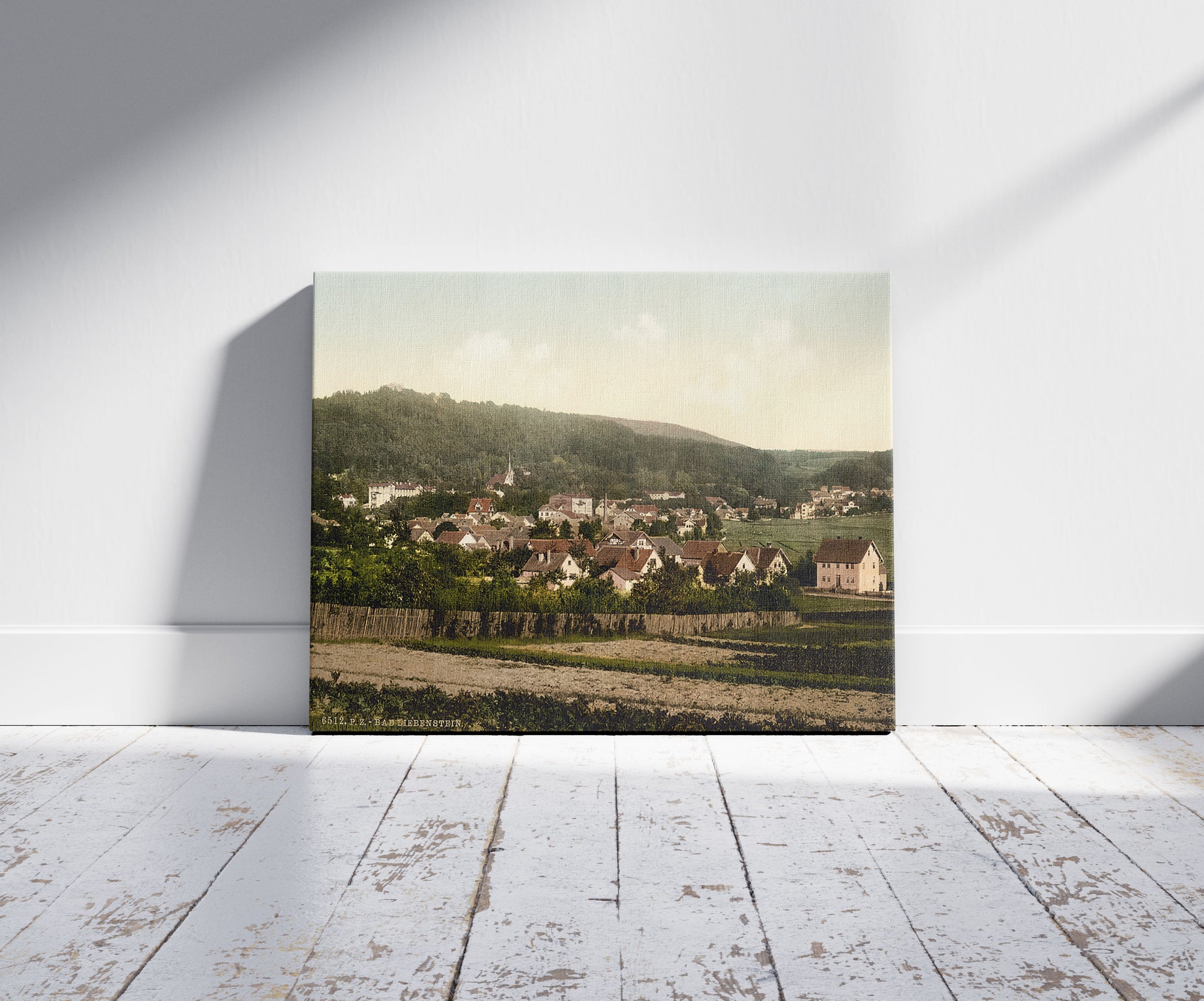 A picture of Bath of Liebenstein (i.e., Bad Liebenstein), from the Reichshohe, Thuringia, Germany