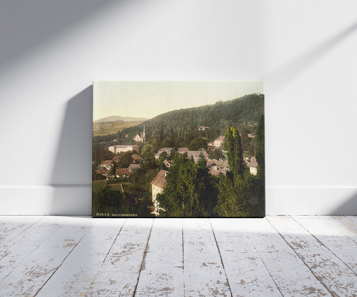 A picture of Bath of Liebenstein (i.e., Bad Liebenstein), Thuringia, Germany, a mockup of the print leaning against a wall