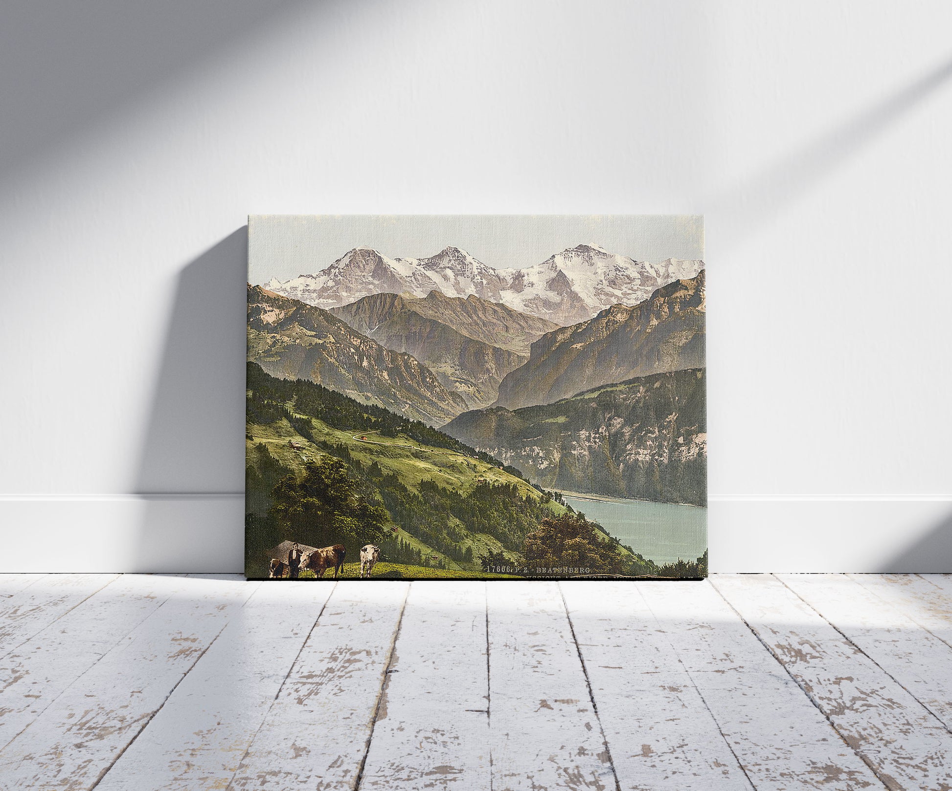 A picture of Beatenburg (i.e., Beatenberg), view of Jungfrau, Monch and Eiger, Bernese Oberland, Switzerland