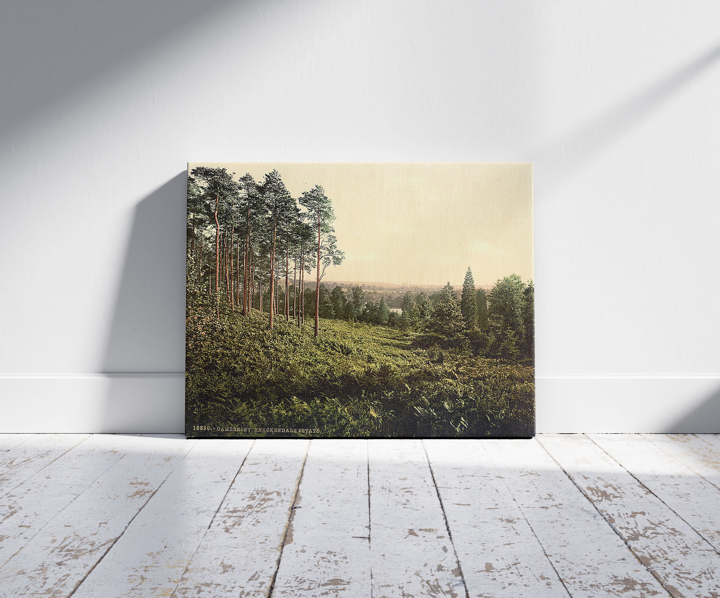 A picture of Brackendale, Estade, Camberley, England, a mockup of the print leaning against a wall