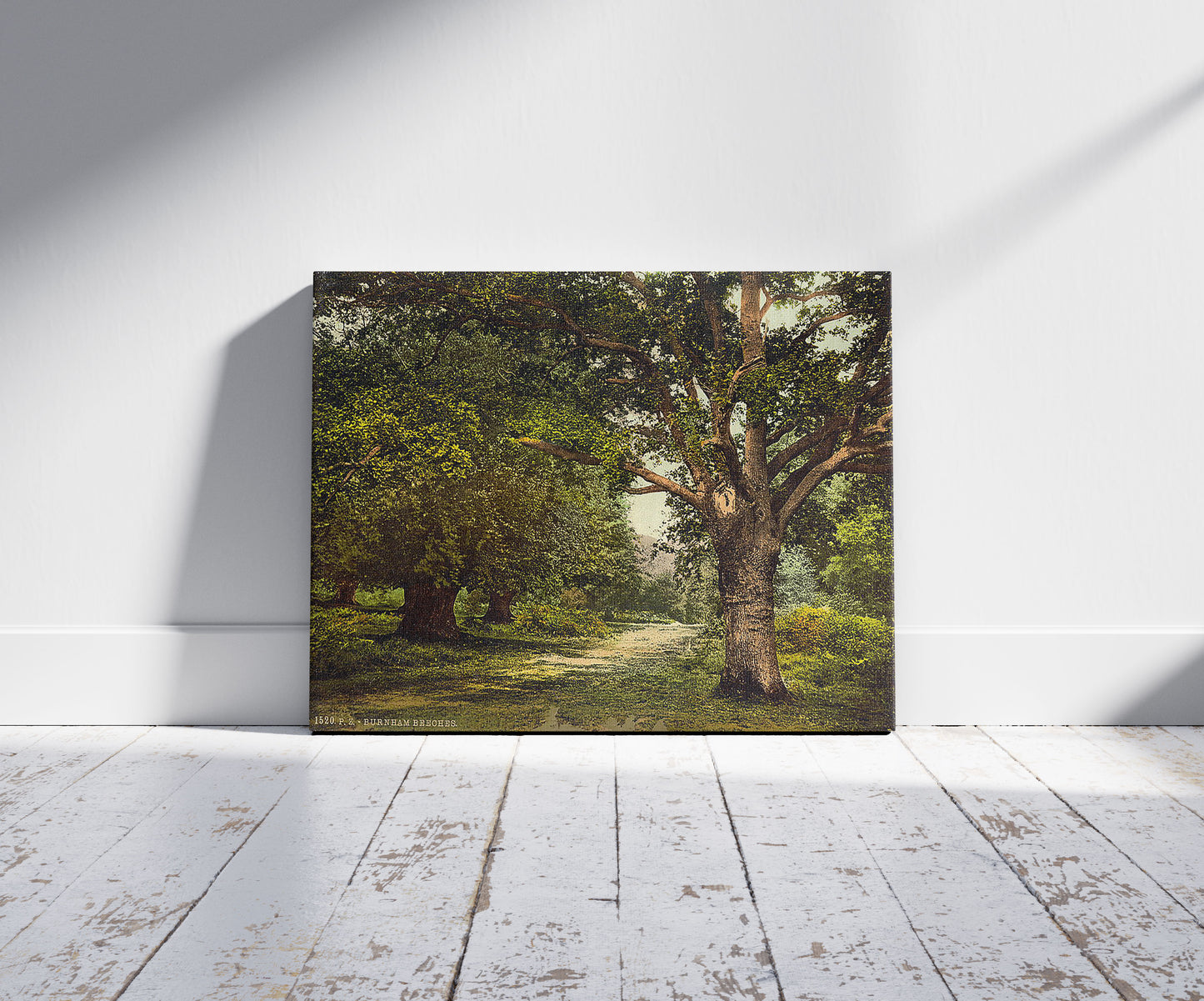 A picture of Burnham Beeches, London and suburbs, England, a mockup of the print leaning against a wall