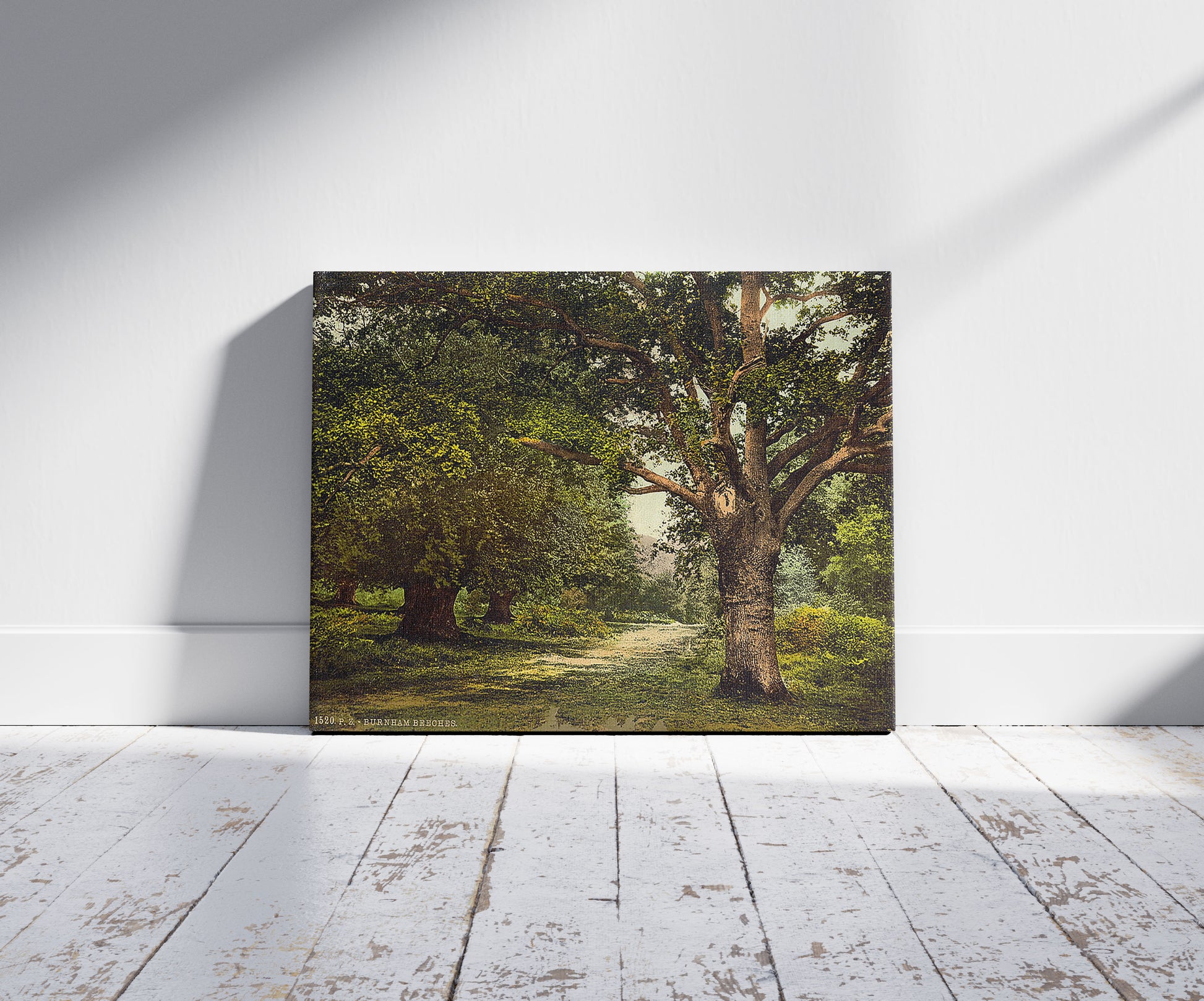 A picture of Burnham Beeches, London and suburbs, England, a mockup of the print leaning against a wall