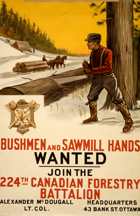 A picture of Bushmen and sawmill hands wanted. Join the 224th Canadian Forestry Battalion