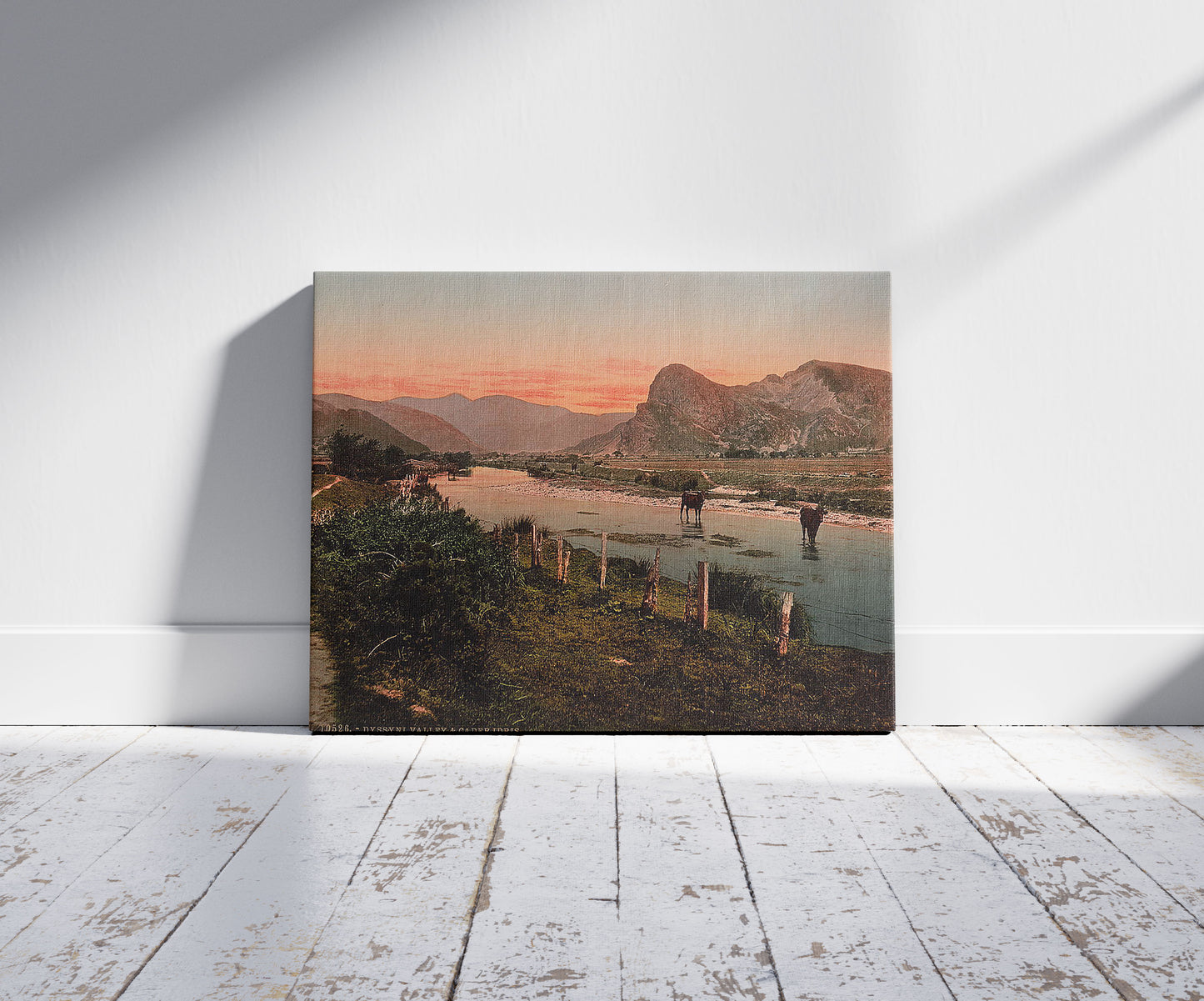 A picture of Cader Idris (i.e. Cadair Idris) and Dyssyni Valley (cattle study), Wales 